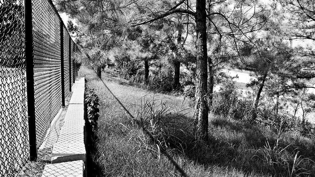 http://johnbryantart.org/files/gimgs/12_roadside-sharped-toned-lightened-web.jpg
