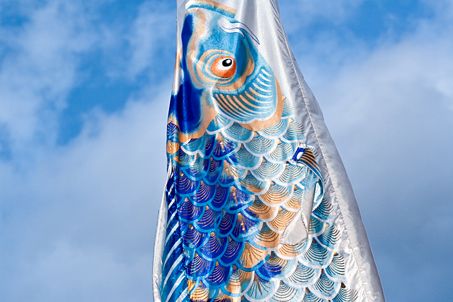 http://johnbryantart.org/files/gimgs/5_web-koi-nobori-head.jpg